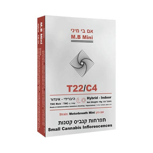 תפרחות סמול אם בי T22/C4 היבריד