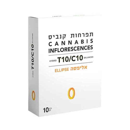 תפרחות אלפיסה T10/C10 היבריד תפרחות אלפיסה T10/C10 היבריד