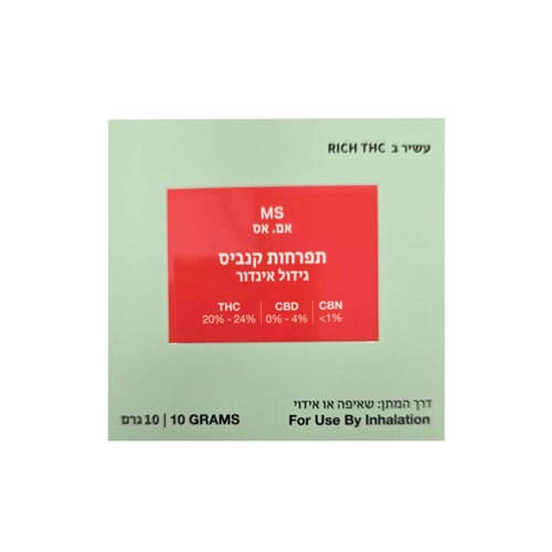 תפרחות אם אס T22/C4 אינדיקה