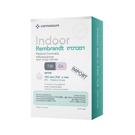 תפרחות רמברנדט T20/C4 אינדיקה תפרחות רמברנדט T20/C4 אינדיקה