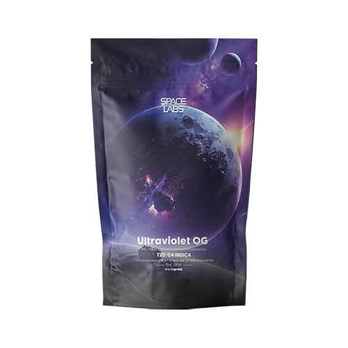 תפרחות אולטרה ויולט או ג'י (Ultraviolet OG) T20/C4 אינדיקה תפרחות אולטרה ויולט או ג'י (Ultraviolet OG) T20/C4 אינדיקה