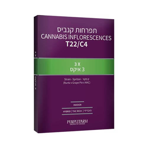 תפרחות 3 איקס T22/C4 היבריד