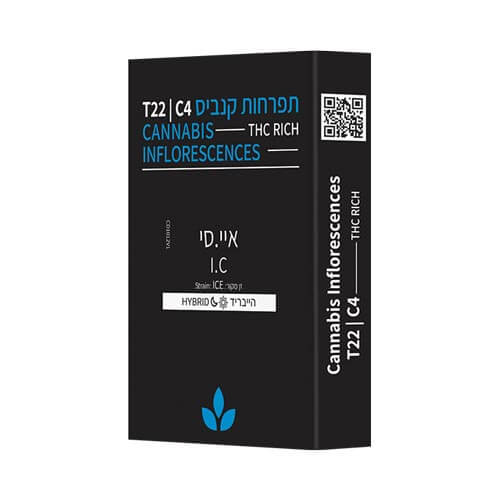 תפרחות איי סי T22/C4 היבריד