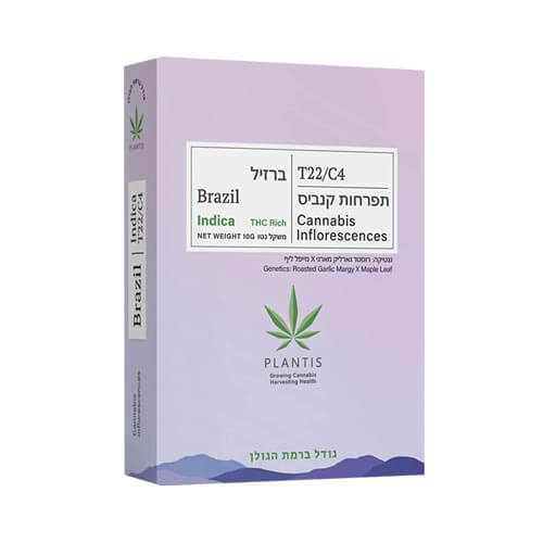 תפרחות ברזיל T22/C4 אינדיקה