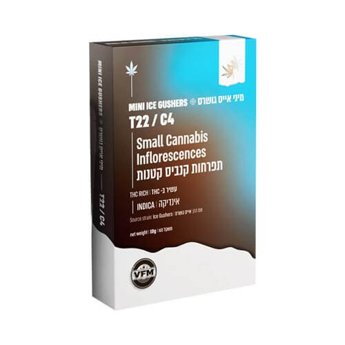 תפרחות סמול אייס גושרס T22/C4 אינדיקה