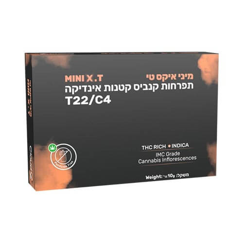 תפרחות סמול איקס טי T22/C4 אינדיקה