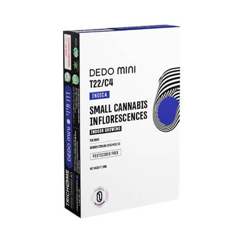 תפרחות סמול דדו T22/C4 אינדיקה תפרחות סמול דדו T22/C4 אינדיקה