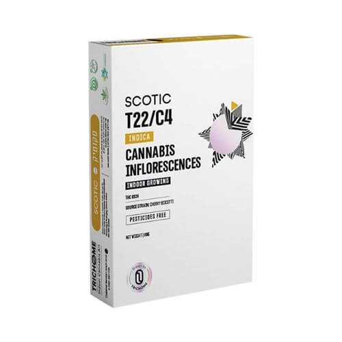 תפרחות סקוטיק T22/C4 אינדיקה