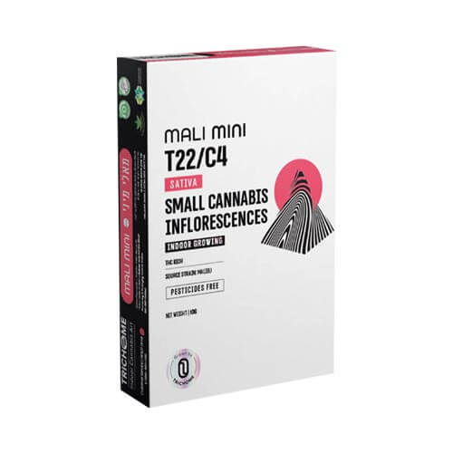 תפרחות סמול מאלי T22/C4 סאטיבה