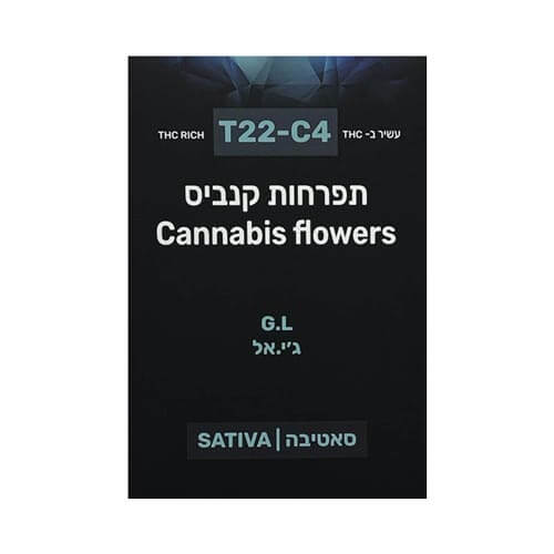תפרחות ג'י אל T22/C4 סאטיבה