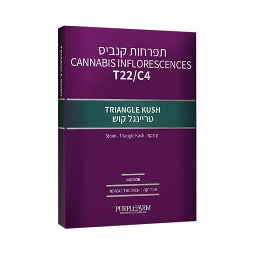 תפרחות טרינגל קוש T22/C4 אינדיקה