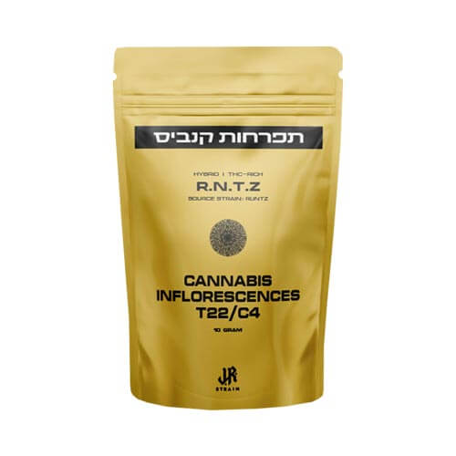 תפרחות אר אן טי זד T22/C4 היבריד