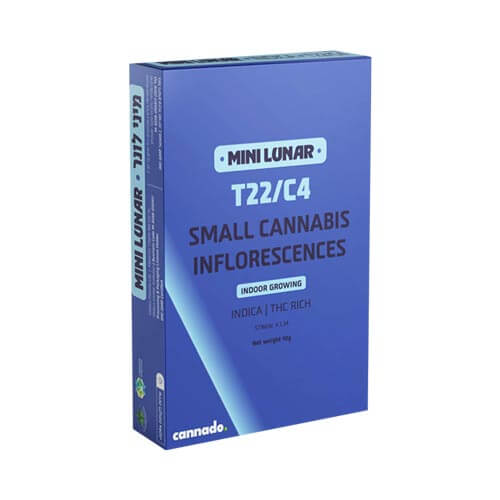 תפרחות סמול לונר T22/C4 אינדיקה