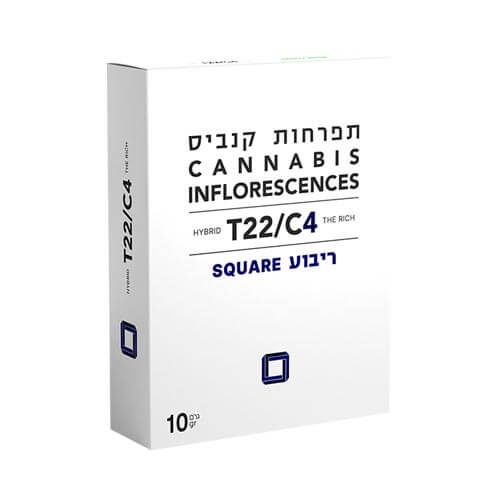 תפרחות ריבוע T22/C4 אינדיקה