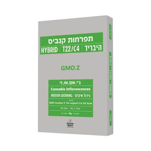 תפרחות ג'י אם או זי T22/C4 היבריד