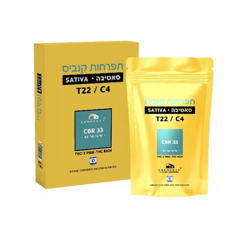 תפרחות סי בי אר 33 T22/C4 סאטיבה