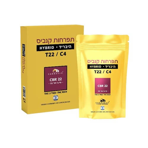 תפרחות סי בי אר 22 T22/C4 היבריד