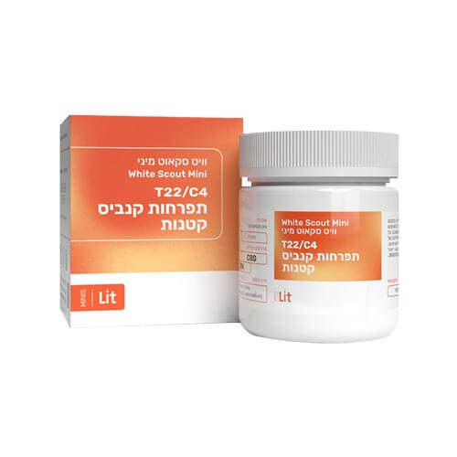 תפרחות וייט סקאוט T22/C4 היבריד