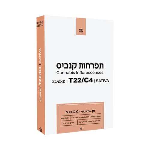 תפרחות אן אן או סי T22/C4 סאטיבה