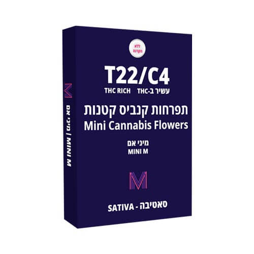 תפרחות סמול אם T22/C4 סאטיבה תפרחות סמול אם T22/C4 סאטיבה