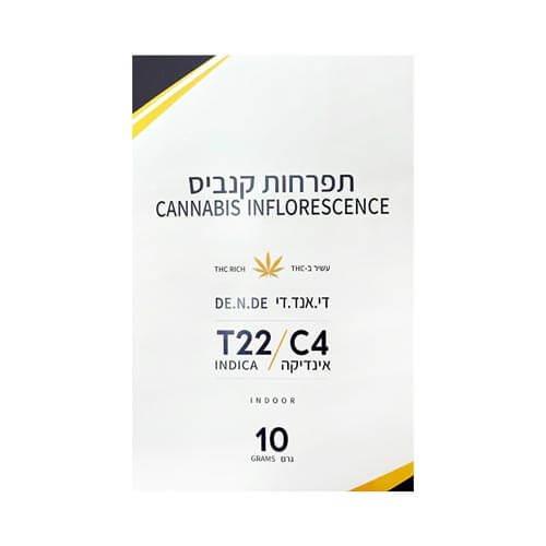 תפרחות די אנד די T22/C4 אינדיקה תפרחות די אנד די T22/C4 אינדיקה