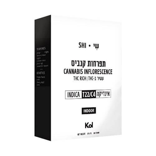 תפרחות שי T22/C4 אינדיקה