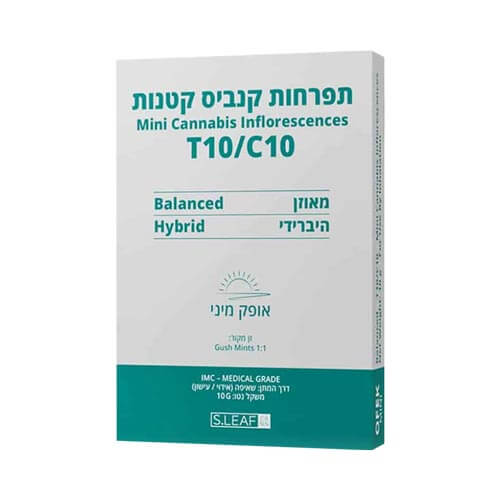 תפרחות סמול אופק T10/C10 היבריד