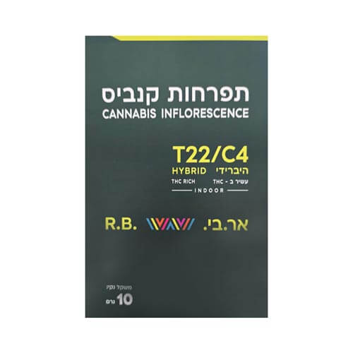 תפרחות אר בי T22/C4 היבריד