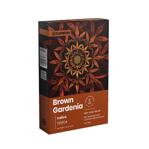 תפרחות בראון גרדניה חומה (Brown Gardenia) T20/C4 אינדיקה תפרחות בראון גרדניה חומה (Brown Gardenia) T20/C4 אינדיקה