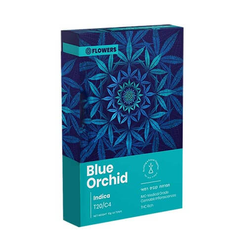 תפרחות בלו אורכיד (Blue Orchid) T20/C4 אינדיקה תפרחות בלו אורכיד (Blue Orchid) T20/C4 אינדיקה