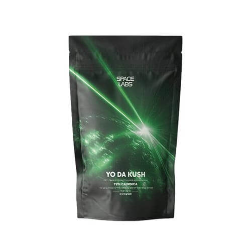תפרחות סמול יו דה קוש מיניז (Yo Da Kush Miniz) T20/C4 אינדיקה תפרחות סמול יו דה קוש מיניז (Yo Da Kush Miniz) T20/C4 אינדיקה