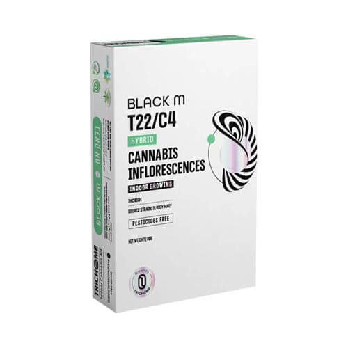 תפרחות בלאק אם T22/C4 היבריד