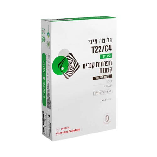תפרחות סמול פלנטה T22/C4 היבריד תפרחות סמול פלנטה T22/C4 היבריד