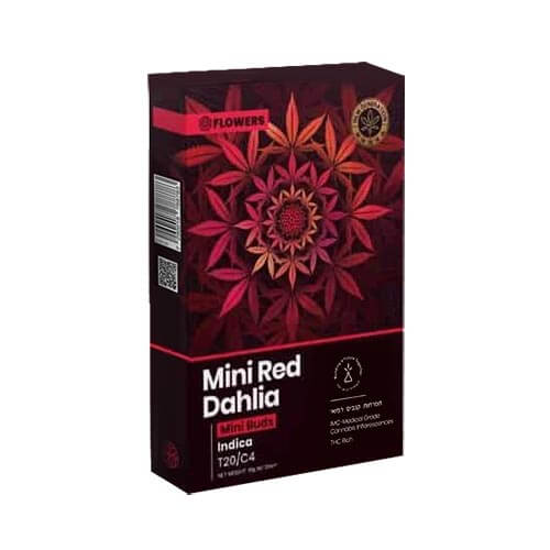 תפרחות סמול רד דליה אדומה (Red Dahlia Small) T20/C4 אינדיקה