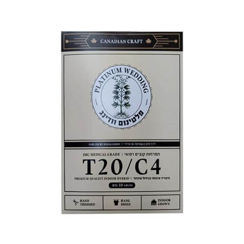 תפרחות פלטינום וודינג (Platinum Wedding) T20/C4 היבריד תפרחות פלטינום וודינג (Platinum Wedding) T20/C4 היבריד