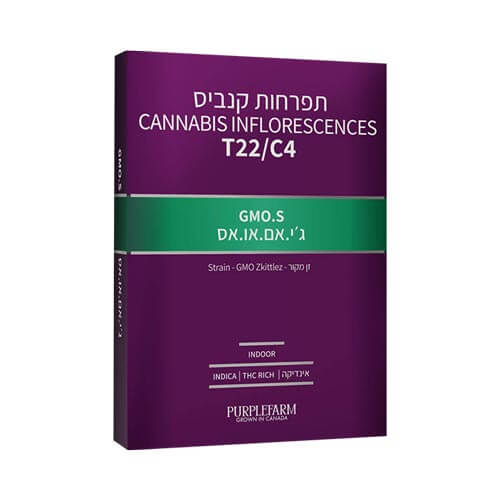 תפרחות ג'י אמ או אס T22/C4 אינדיקה