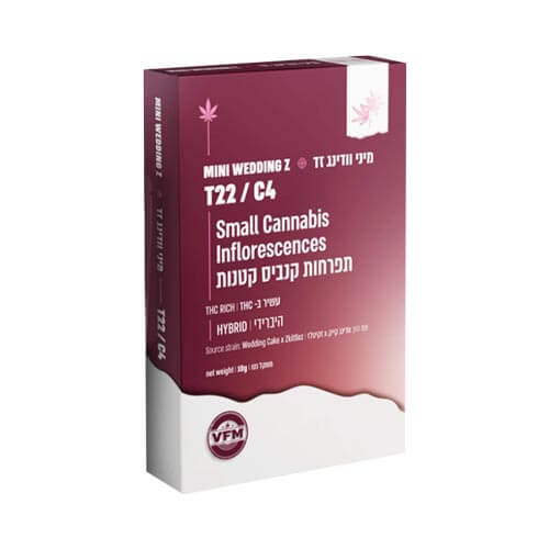 תפרחות סמול וודינג זד T22/C4 היבריד תפרחות סמול וודינג זד T22/C4 היבריד