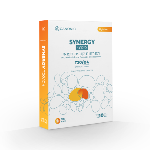 תפרחות סינרג'י (Synergy) T20/C4 סאטיבה | קנאביס רפואי