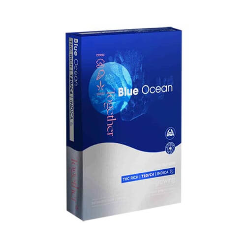 תפרחות אוקיינוס כחול (Blue Ocean) T20/C4 אינדיקה
