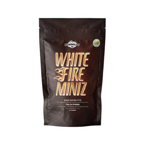 תפרחות סמול ווייט פייר מיניז (White Fire Miniz) T20/C4 היבריד