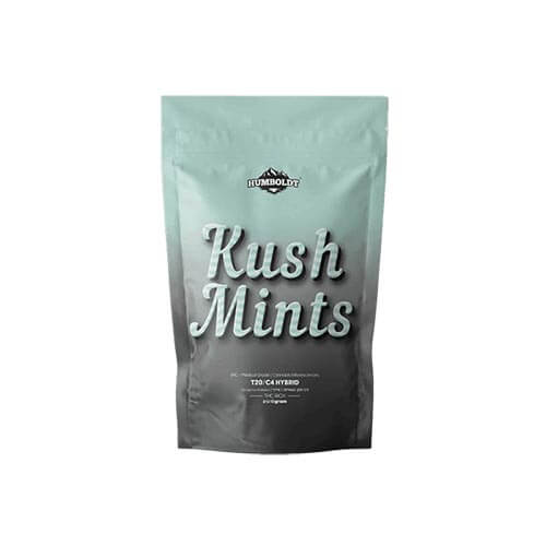 תפרחות קוש מינטס (Kush Mints) T20/C4 היבריד