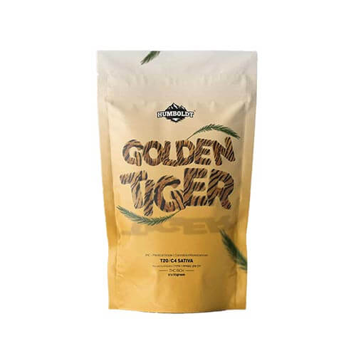 תפרחות גולדן טיגר (Golden Tiger) T20/C4 סאטיבה
