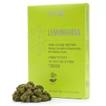 תפרחות למונגראס (Lemongrass) T20/C4 היבריד