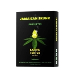 תפרחות ג'מייקן סקאנק (Jamaican Skunk) T20/C4 סאטיבה
