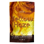 תפרחות ילו הייז (Yellow Haze) T10/C10 סאטיבה